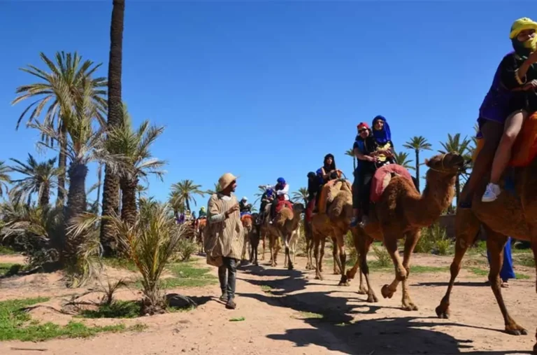 marrakech-camel-ride-in-the-oasi